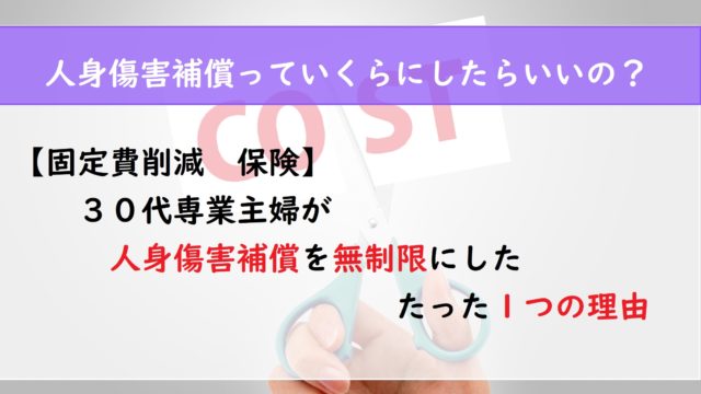 【固定費削減　保険】３０代専業主婦が人身傷害補償を無制限にした　たった１つの理由